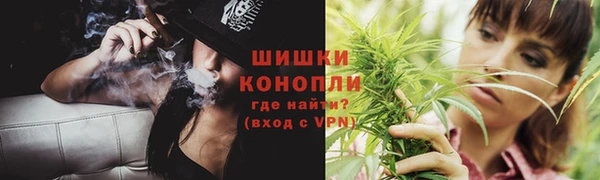 бошки Алексин