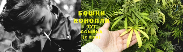 бошки Алексин
